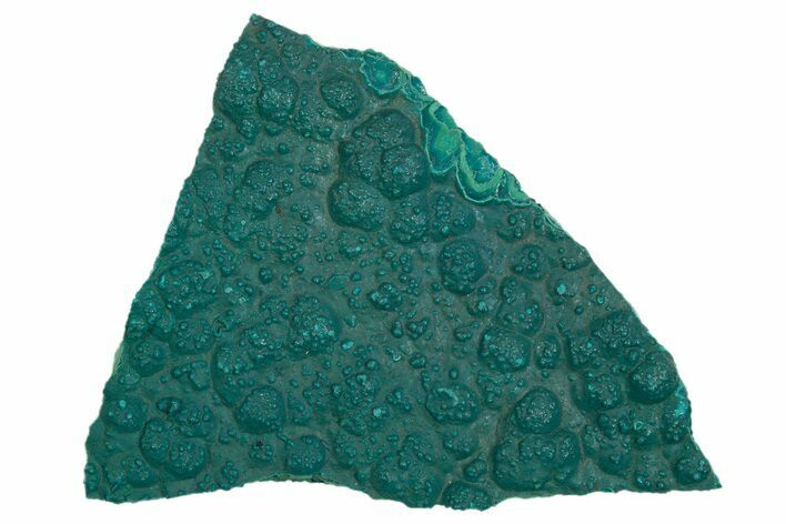 Teal Botryoidal Chrysocolla and Malachite - Chile #310143